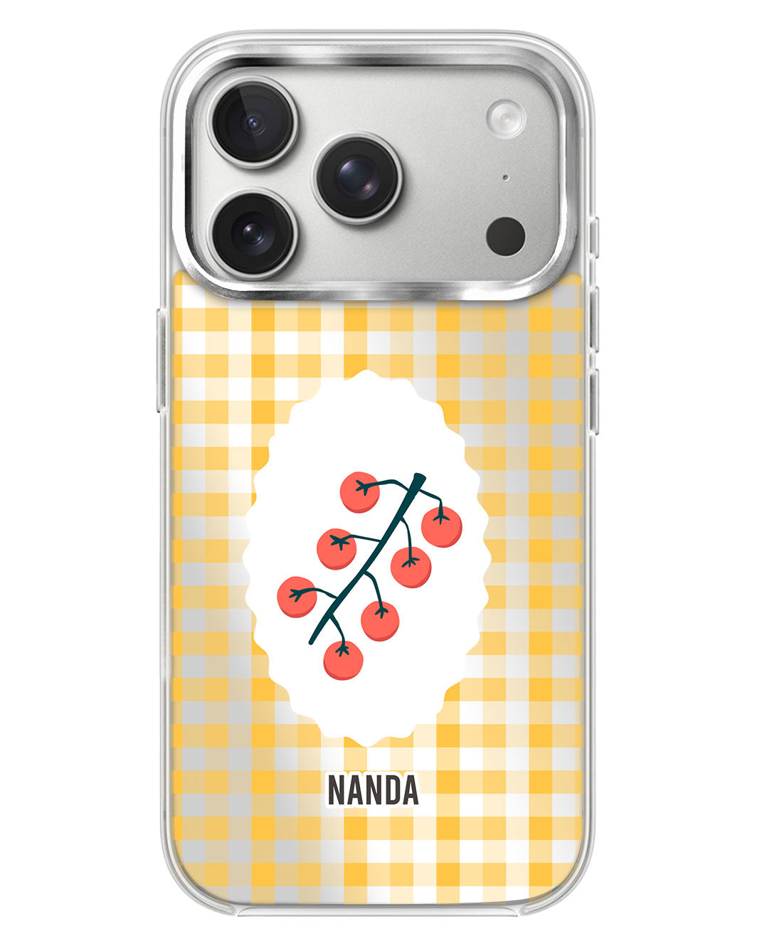 iPhone Mirror Case - Picnic Day